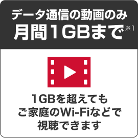 データ通信の動画のみ月額１GBまで　１GBを超えてもご家庭のwifiなどで視聴できます