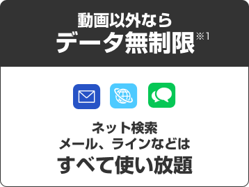 動画以外ならデータ無制限　ネット検索、メール、ラインなどはすべて使い放題