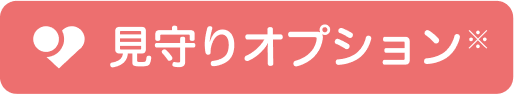 見守りオプション※